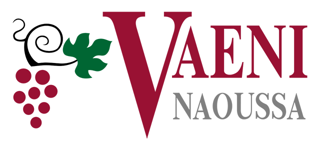 logo (1)